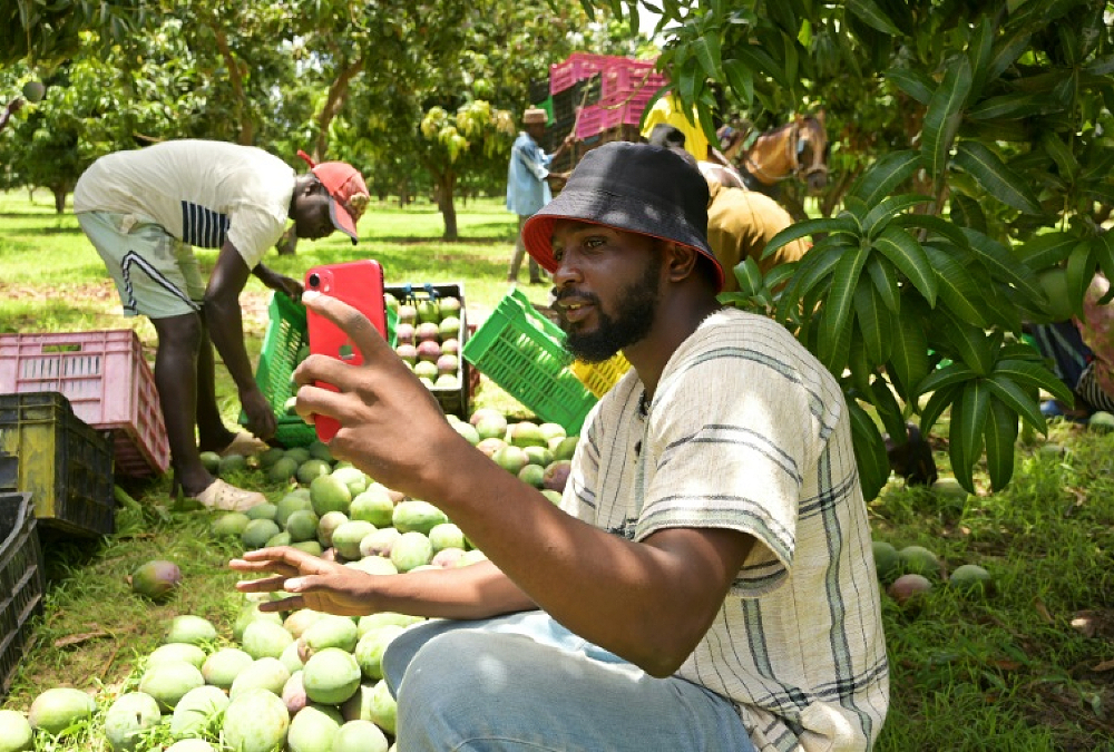 Senegal 'Agri-influencers' seek to shake up key sector
