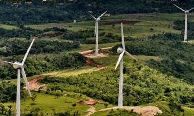 Wigton expands diversification efforts