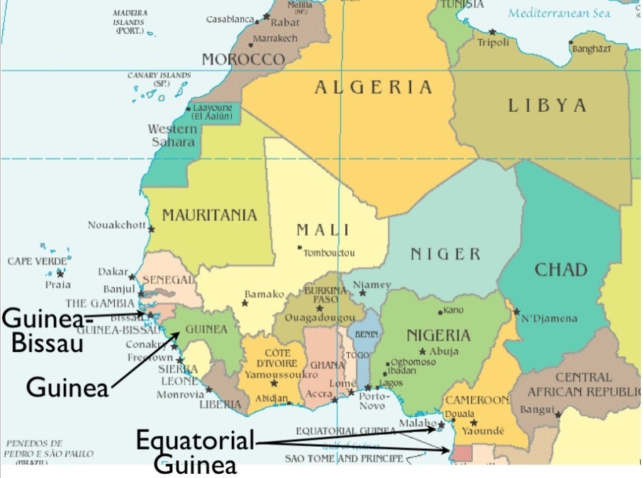 Do you know that there are three Guineas in Africa? What are their differences?