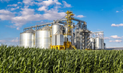 Staple-crop processing zones: a new hope for the agro-processing sector in Africa to take off?