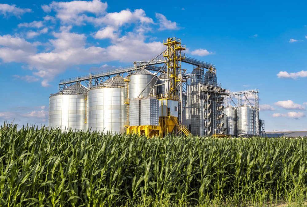 Staple-crop processing zones: a new hope for the agro-processing sector in Africa to take off?