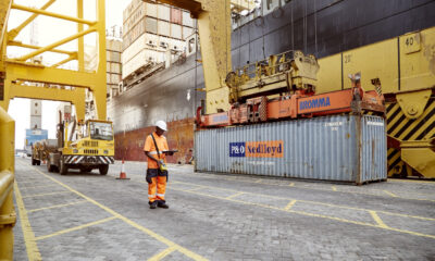 UAE and Africa's sea ports