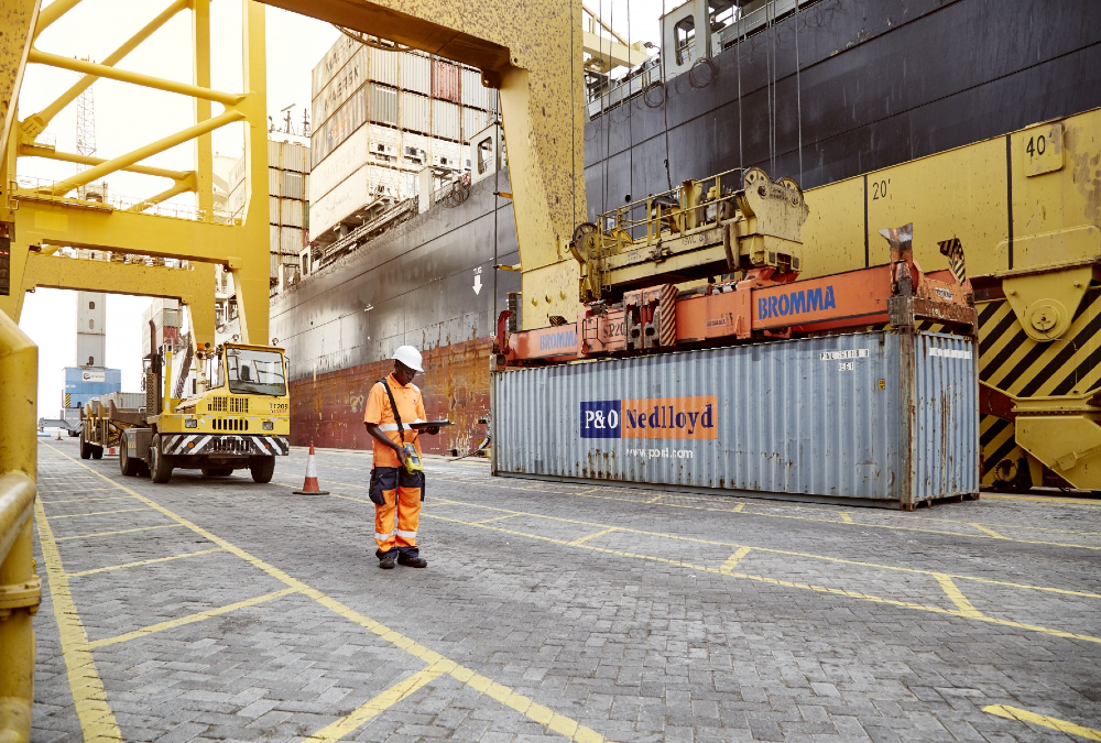 UAE and Africa's sea ports