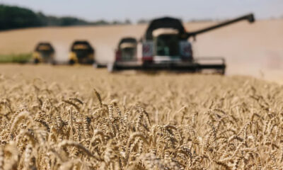 The East War and Africa