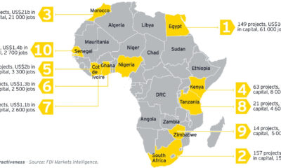 Investing in Africa's Growth: FDI Insights