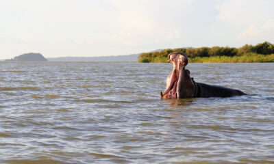 African Lakes: Human security assets in need of protection