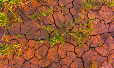 African countries shouldn’t have to borrow money to fix climate damage they never caused