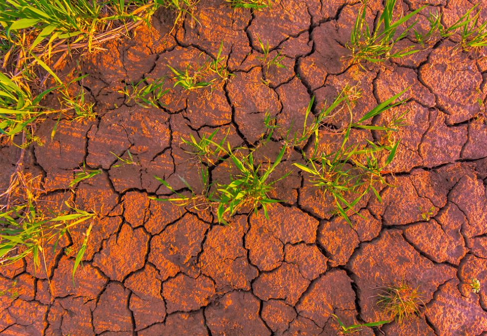 African countries shouldn’t have to borrow money to fix climate damage they never caused