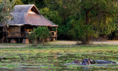 Luxury tourism: an untapped emerging market in Africa
