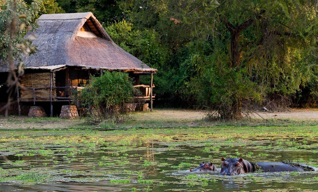 Luxury tourism: an untapped emerging market in Africa