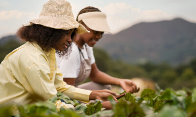 Decolonizing African agriculture: Option or Utopia?