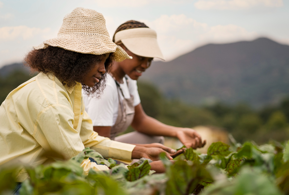 Decolonizing African agriculture: Option or Utopia?