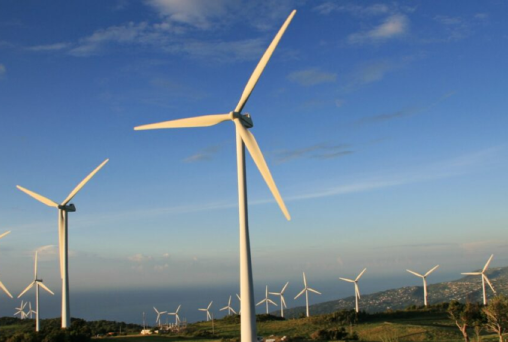 Who Pays the Transition Cost to Renewable Energy?