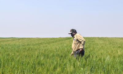 Nigeria delegation visits Zimbabwe to learn agricultural best practices