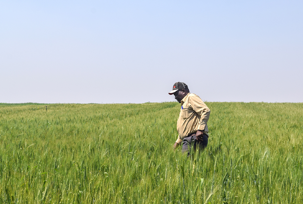 Nigeria delegation visits Zimbabwe to learn agricultural best practices