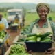 Africa Striving for Agricultural Progress