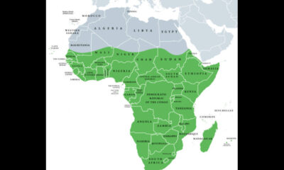 Bridging the Divide: Understanding the Distinct Dynamics of North and Sub-Saharan Africa