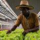 Agriculture in Africa: A Thriving Industry for the Next Generation