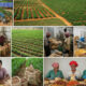 Maximizing Agricultural Investments Through Value Addition