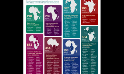 Africa’s Regional Economic Communities: Driving Integration or Facing Roadblocks?