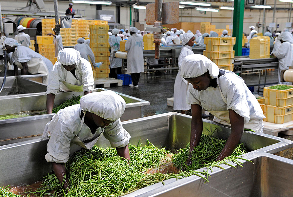 Modern agro-processing plant in rural Africa