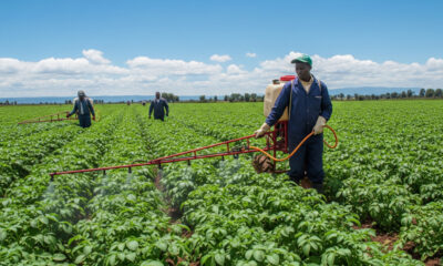 Pesticide Residues Threaten Continental Trade in Agricultural Goods