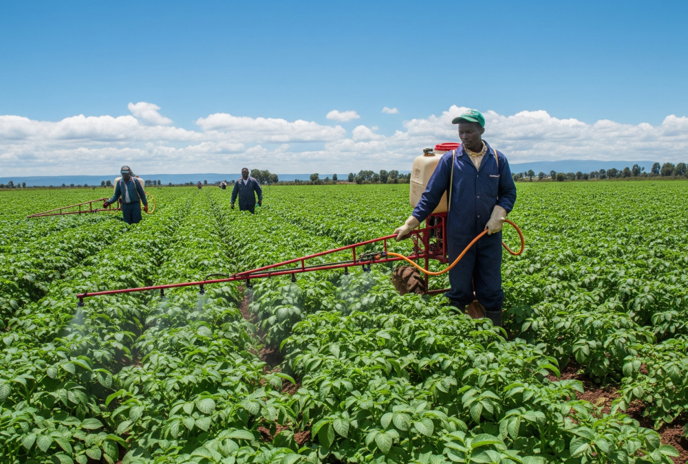 Pesticide Residues Threaten Continental Trade in Agricultural Goods