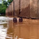 When Disasters Strike: Why Emergency Preparedness Is a Matter of Survival