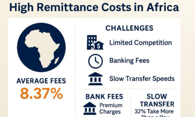 Infographic showing high remittance costs to Africa with average fees of 8.37%, highlighting challenges like limited competition, banking fees, and slow transfer speeds affecting cross-border money transfers.