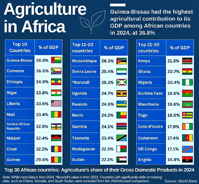 Agriculture: The Beating Heart of Africa’s Economic Future