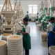 Interior of an African agro-processing factory, showing machinery and workers overcoming infrastructure and energy challenges to add local value.