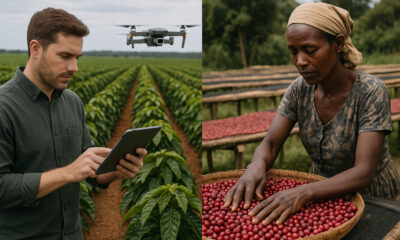 Contrast between high-tech Brazilian coffee farm using AI and drones and traditional Ethiopian smallholder coffee farming with manual processing