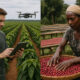 Contrast between high-tech Brazilian coffee farm using AI and drones and traditional Ethiopian smallholder coffee farming with manual processing