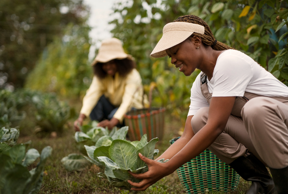Harvesting vegetables in a backyard garden, promoting resilience, education, and intergenerational connection through gardening.