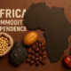 Map of Africa highlighting countries with high commodity dependence, overlaid with export icons for oil, minerals, and agricultural products, symbolizing economic reliance on raw materials