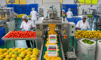 Modern agro-processing facility in Africa showcasing locally sourced crops being processed and packaged for export, symbolizing the continent’s growing investment opportunities and economic potential.