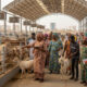 Women and youth traders inspecting livestock at a modernized market in Accra, representing inclusive economic growth under ECOWAS’s $10M Livestock Marketing Support Programme