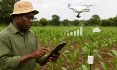African farmers using data-driven technology, including sensors, drones, and mobile apps, to optimize irrigation, monitor crops, and improve yields across diverse farming landscapes.