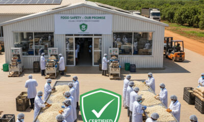 Illustration of an African cashew processing facility highlighting the importance of certification, food safety standards, and compliance for scalable agro-processing operations.