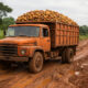 Truck carrying cocoa in Ivory Coast stuck on poor roads, symbolizing Africa’s infrastructure challenges and need for tax reform.