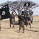 Cross-border terrorist movement in Lake Chad Basin between Nigeria, Chad, Niger, Cameroon