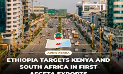 Ethiopia Takes the Leap: Trading Under AfCFTA Begins After Seven-Year Preparations