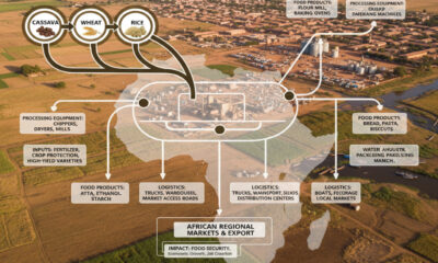 Diagram illustrating specialized agricultural value chains for crops like cassava, wheat, and rice, showing needs for processing equipment, inputs, and logistics for Africa