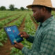 African farmer using AI-powered tools and data-driven technology in the field to improve crop yields and promote sustainable, climate-smart agriculture.