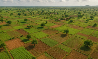 Fertile but underutilized farmland in Africa with potential for high-yield agriculture through improved irrigation, technology, and infrastructure.
