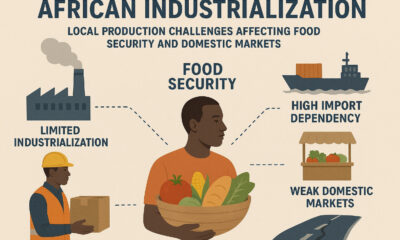 African Industrialization: Why Export-Driven Production Is Undermining Food Security