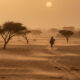 Dusty Harmattan wind blowing across a West African landscape