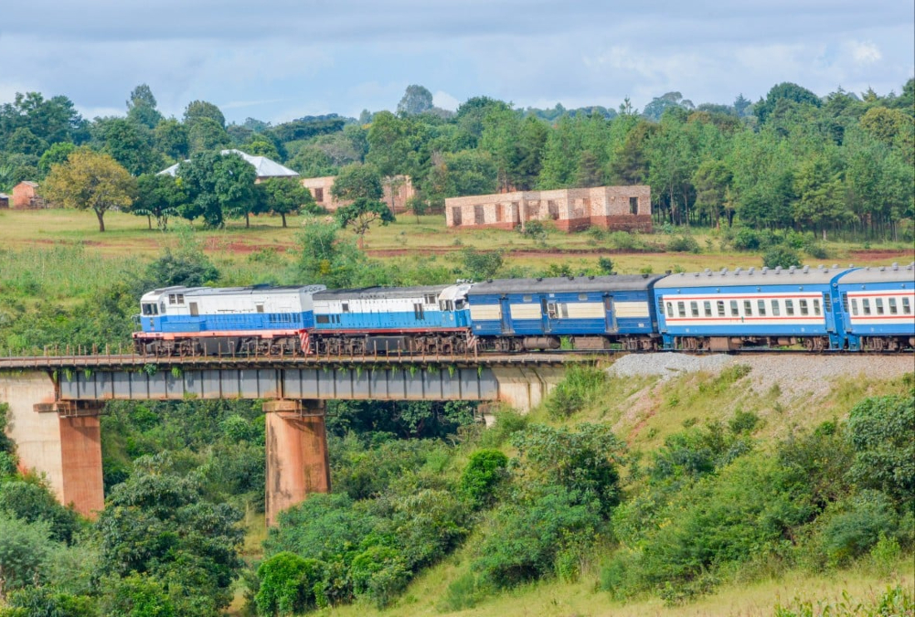 A train travels along the TAZARA railway line.