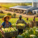 After decades of empty talk, Africa's agricultural revolution begins in 2026 with real capital, partnerships, and execution-focused operators.