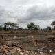 Destroyed farmland in eastern Democratic Republic of Congo.